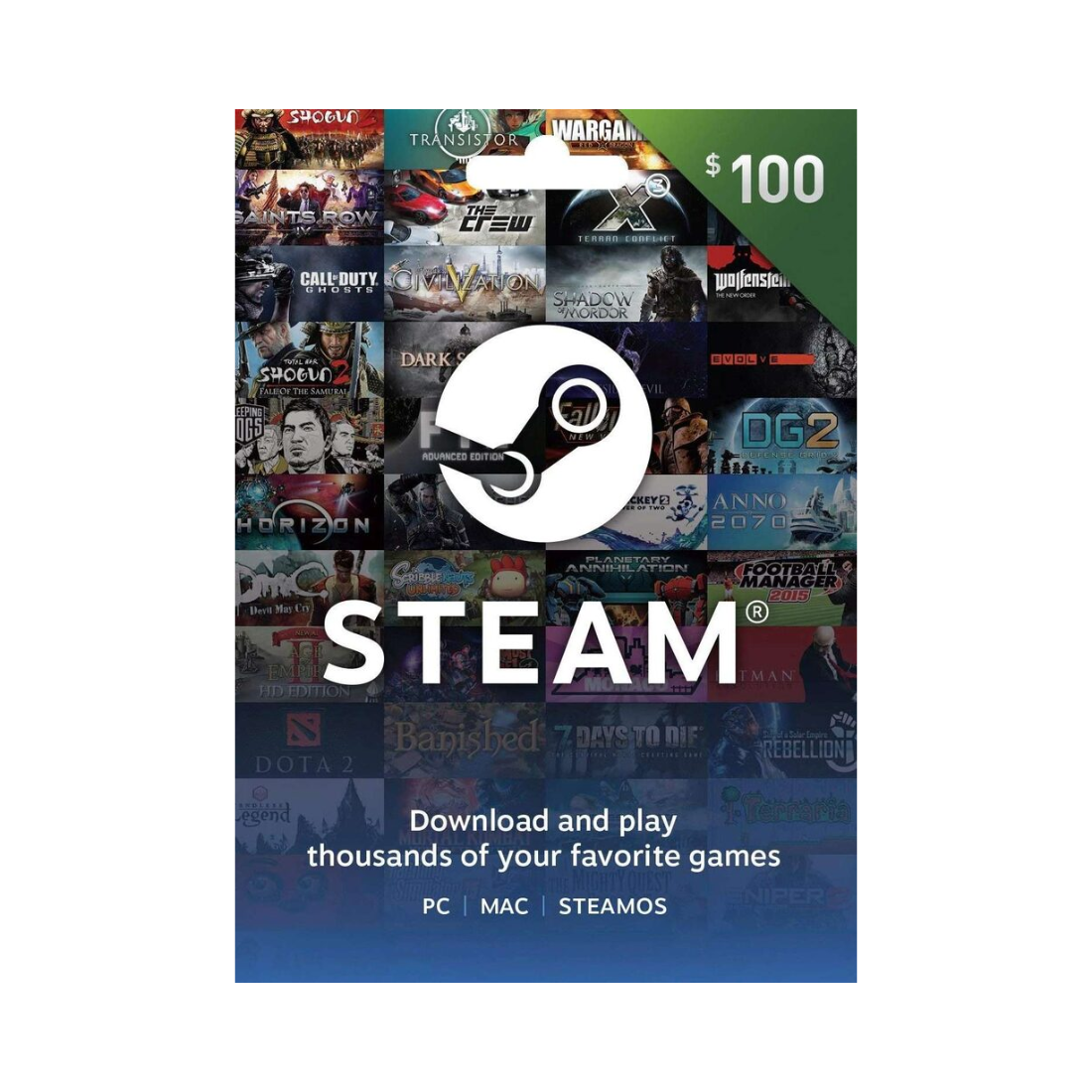 Steam USA Gift Card $100